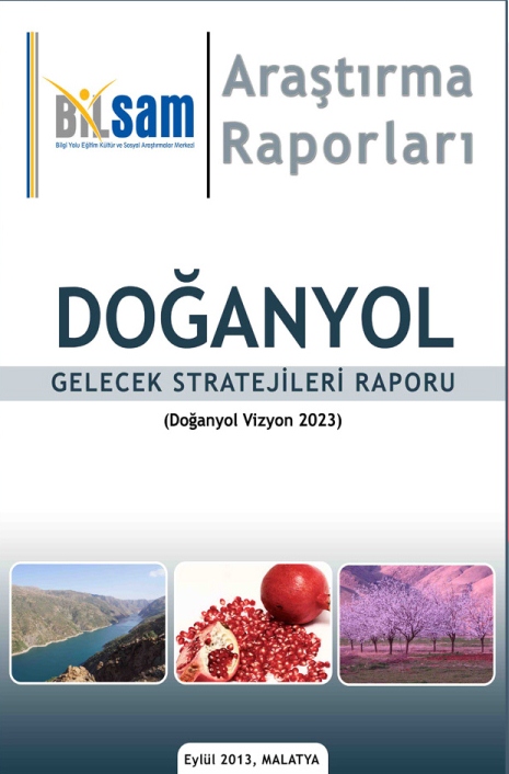 Doğanyol Gelecek Stratejileri Raporu